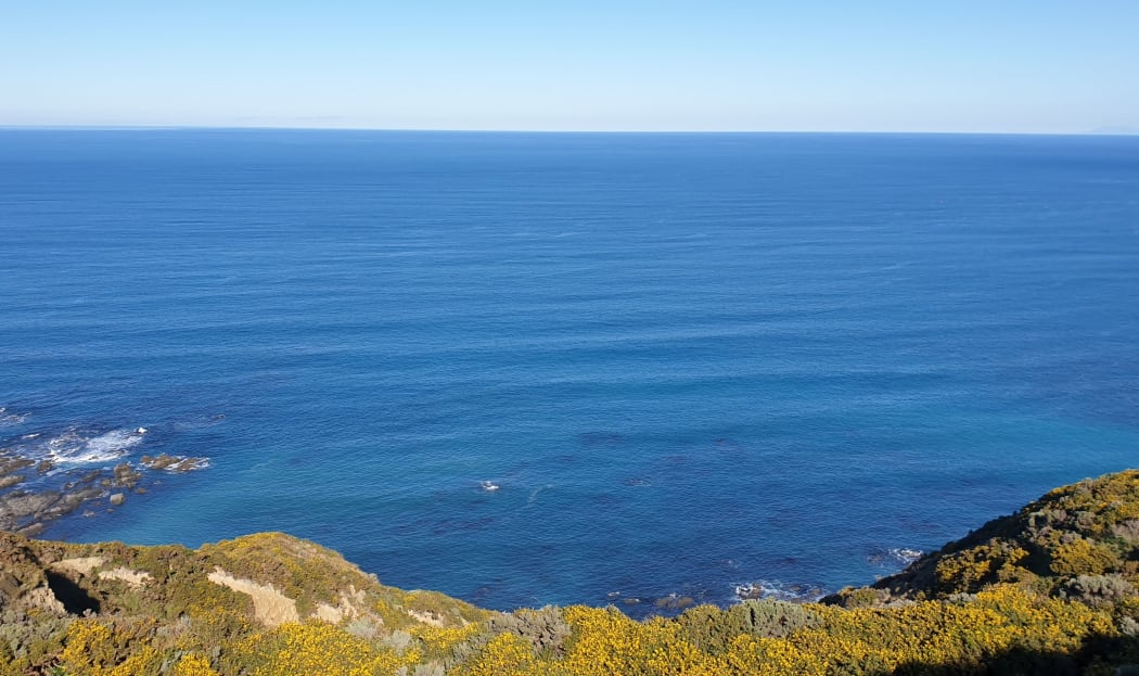 from south coast of Wellington