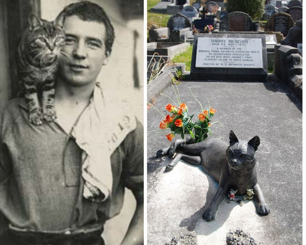 LEFT:Perce Blackburow with Mrs Chippy 
RIGHT: Gravestone of Harry McNeish in Karori Cemetery, Wellington showing statue of Mrs Chippy