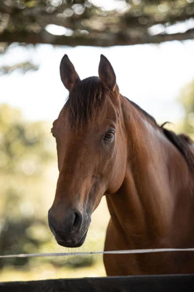 Passing Shot at AnnaRehab.