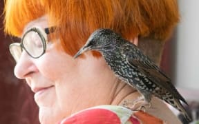 Composer Mary Celeste and starling Matisse.