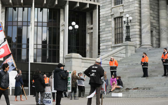Protestors advanced beyond the barricade towards Parliament House to throw green imitation 1080 pellets at its doors and placed dead birds on the steps. 12 September 2018