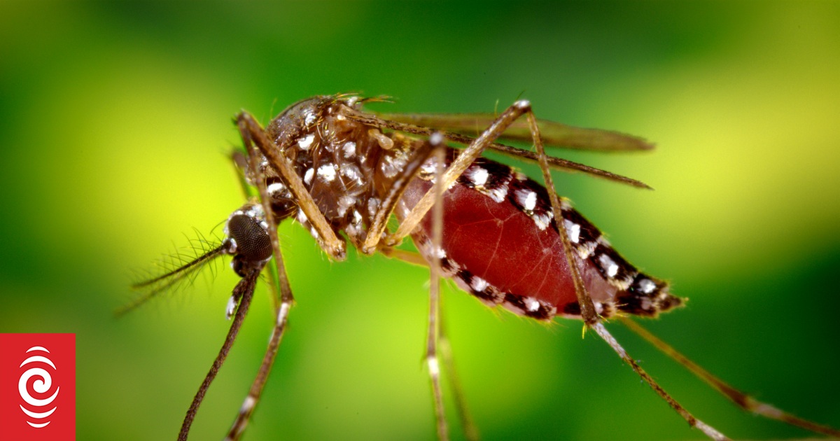 New Zealand sends health team, medical supplies to Samoa to assist with dengue fever outbreak