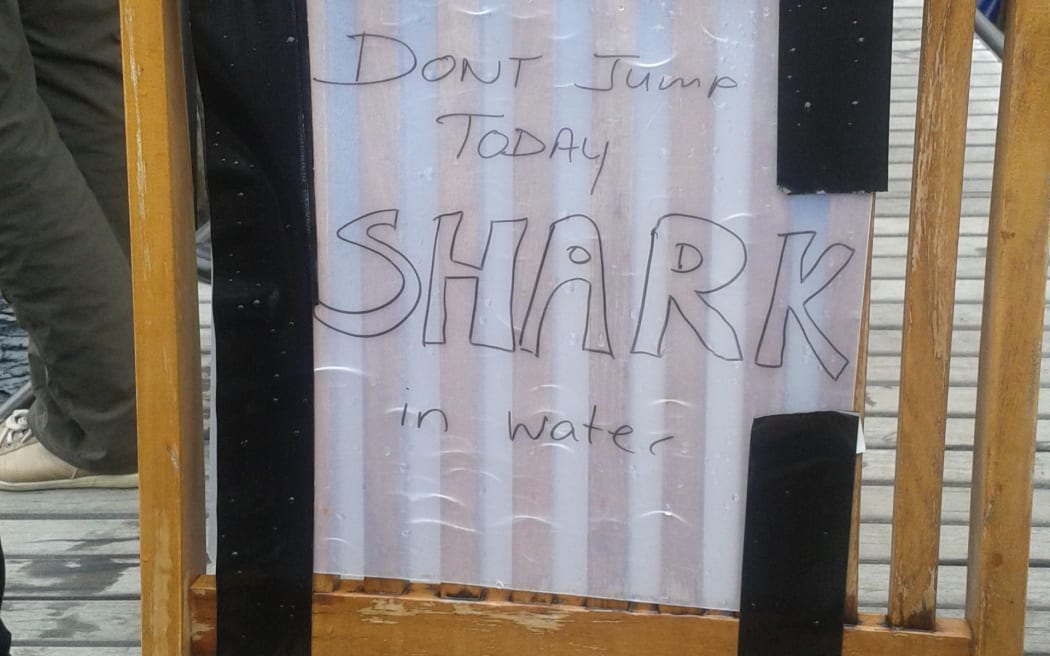 With a shark trapped in the water below, a cafe owner warned people not to jump into Wellington harbour.