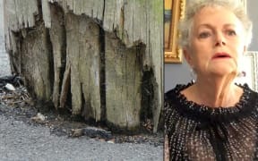 Karen Steel's husband, Roger, was electrocuted when a power pole toppled over.