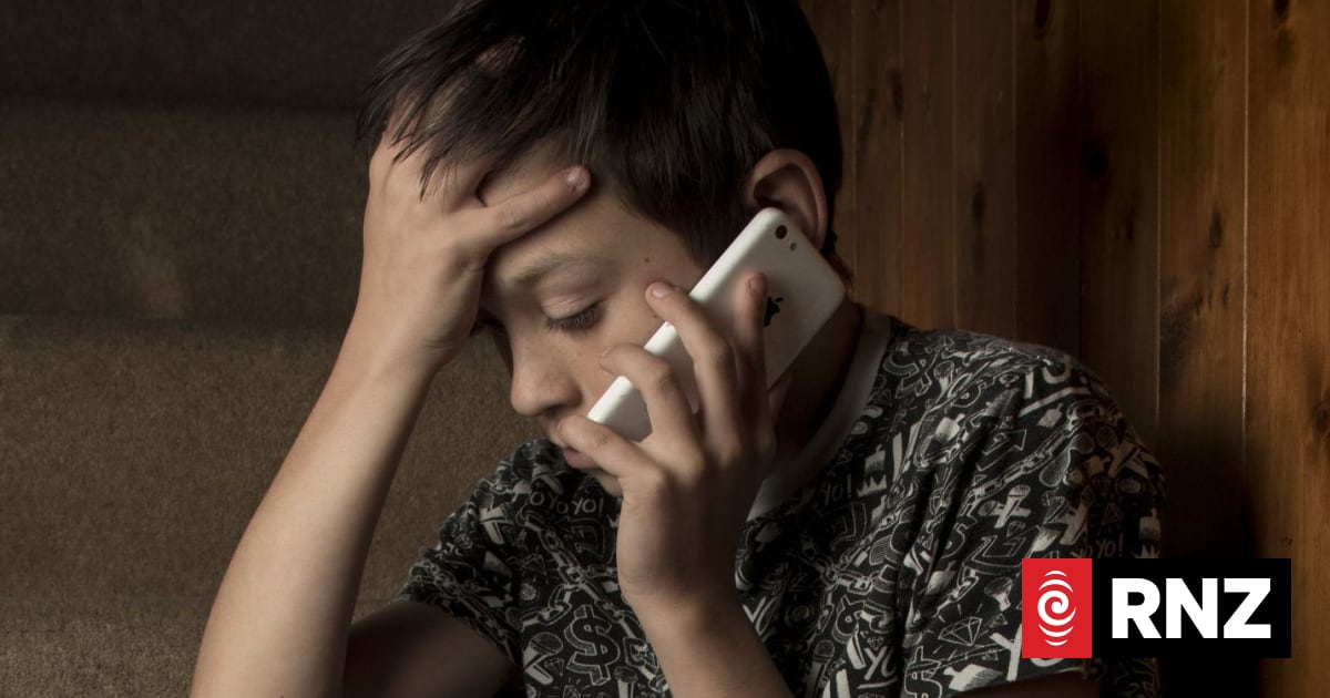 New AI screening tool for telehealth to help deal with rise in calls | RNZ