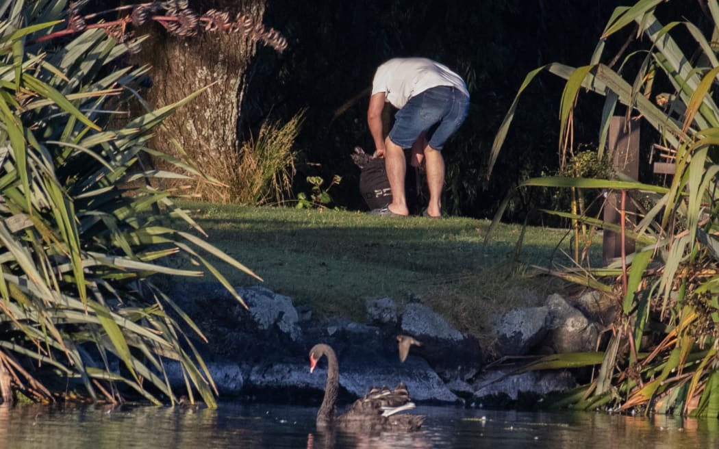 A photograph of a man suspected of taking a swan from Western Springs Park.