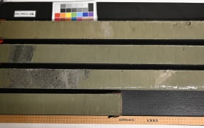 There are four half segments of retrieved core lined up. The cores mostly have olive green mud in them, with some darker patches and gravel, and some lines of whiter ash. There's a ruler down the bottom and a colour chart at the top.