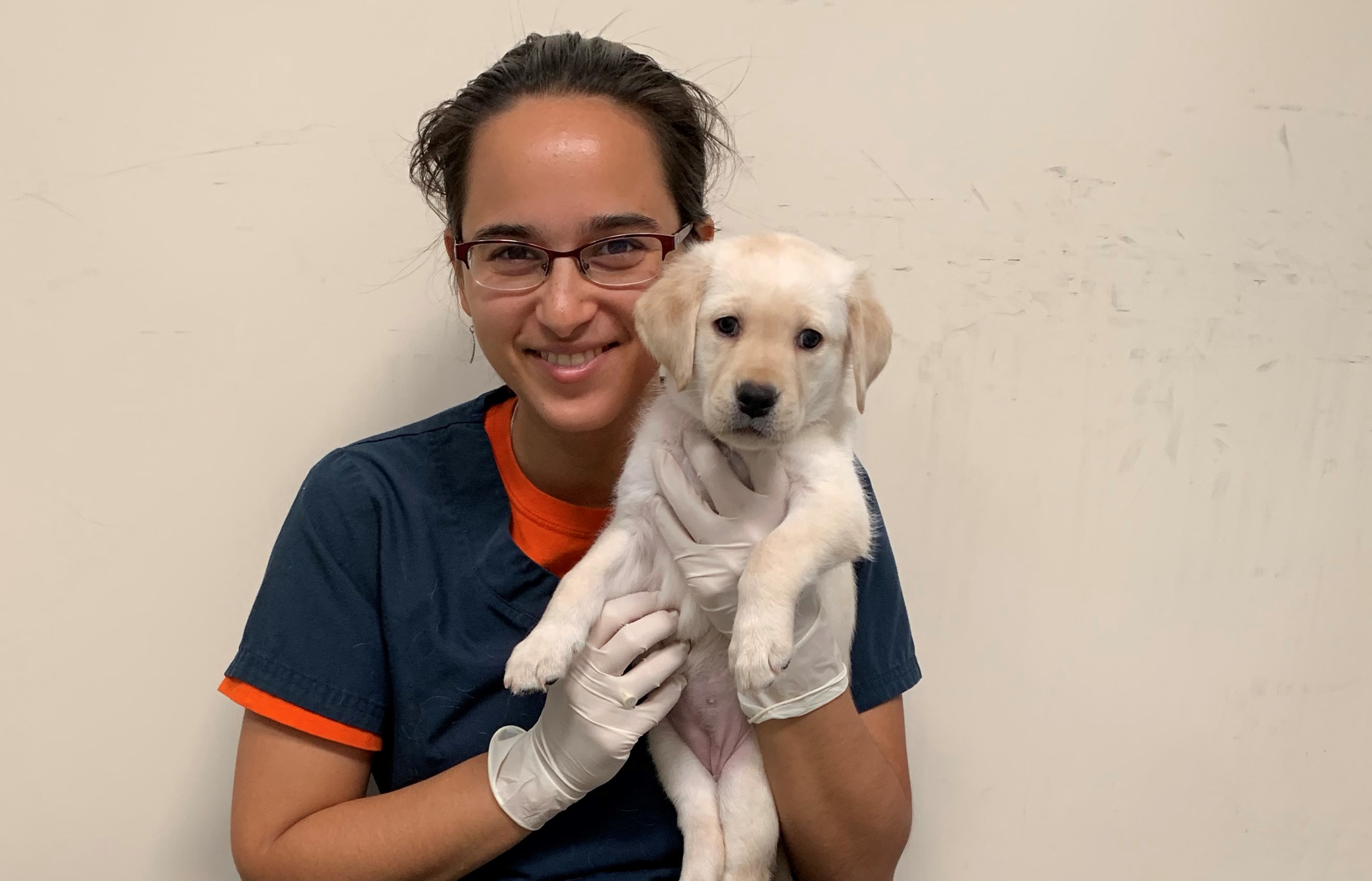 Gita Gnanadesikan with research puppies at the Arizona Canine Cognition Centre