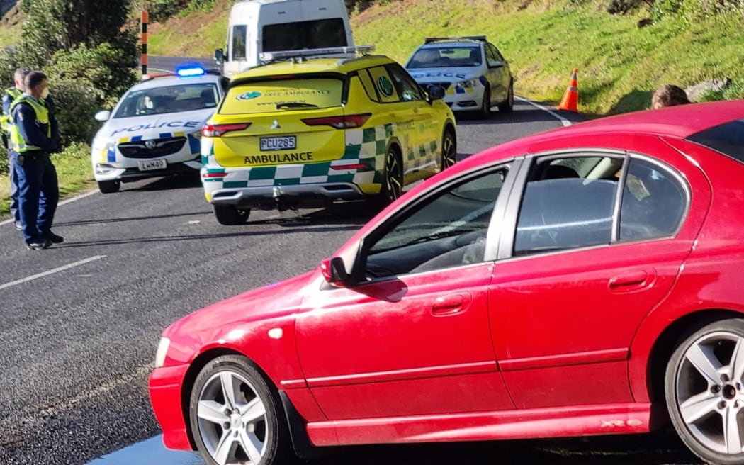 A Wellington ambulance vehicle was let through the cordon blocking the way to the Māhanga Bay occupation site