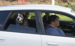 Edgecumbe resident Aleise Moana and dog Roly.