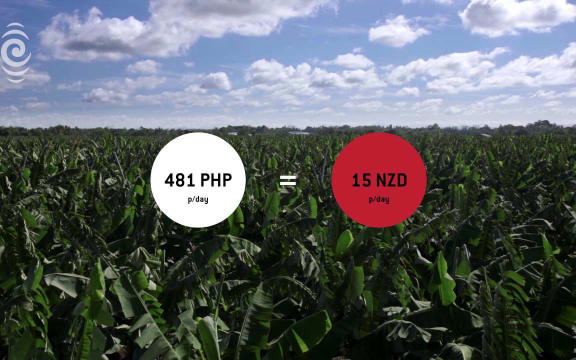 Banana Republic: the ugly story behind New Zealand’s most popular fruit