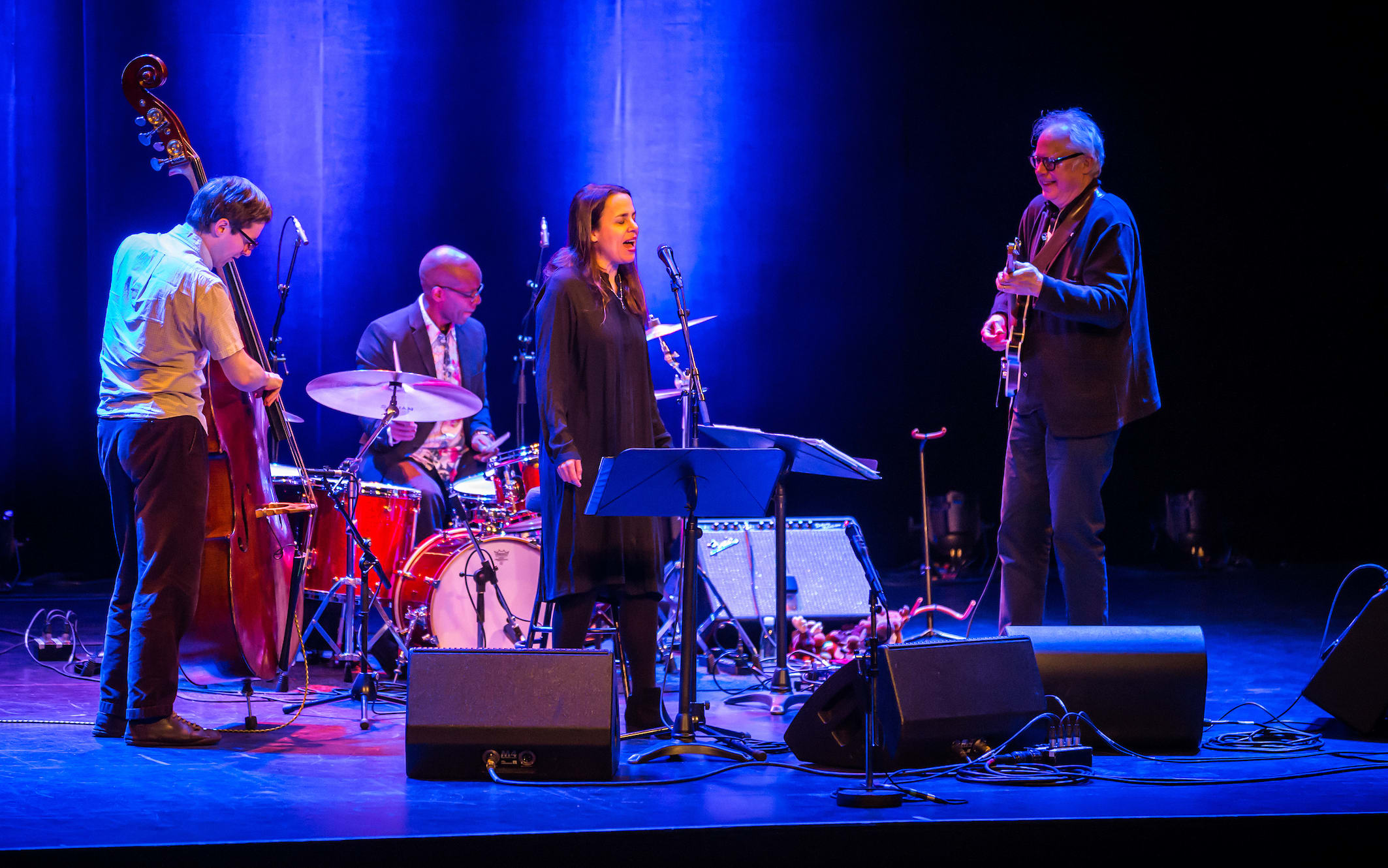 Bill Frisell and band at The Wellington Jazz Festival