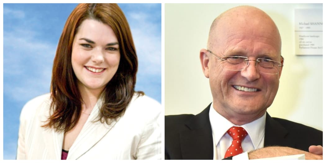 Australian Greens senator Sarah Hanson-Young is suing the Liberal Democrat senator David Leyonhjelm over 'slut-shamming' comments.