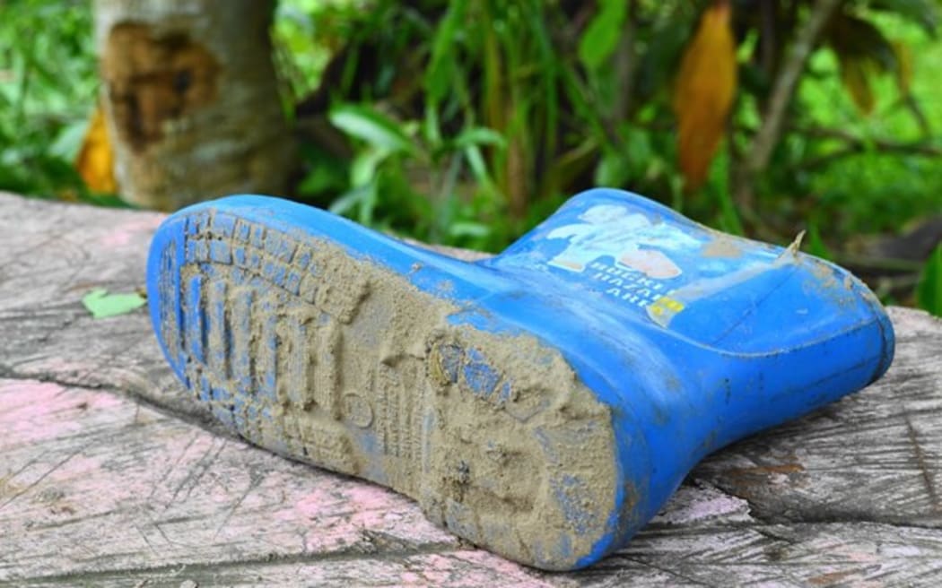 Fiji, gumboot, mud