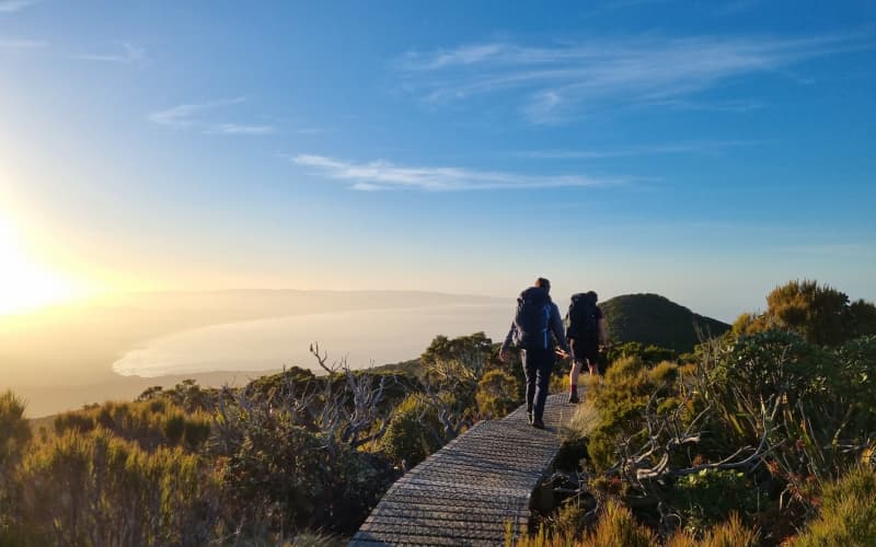 Great Walks booking system hits problems again | RNZ