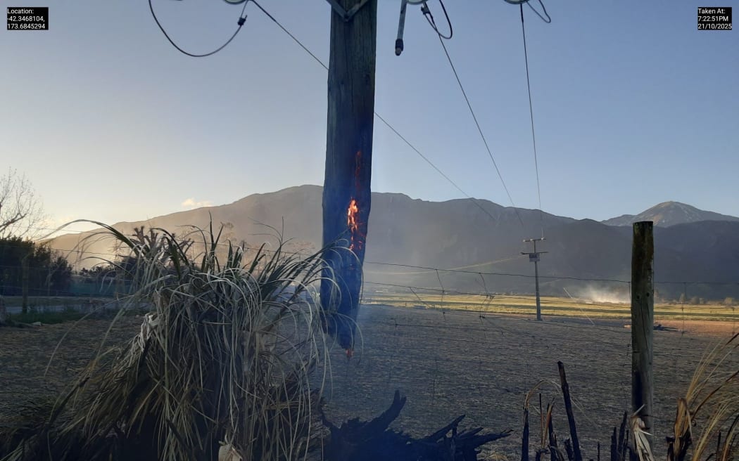 The charred remains of a powerline north of Kaikōura.