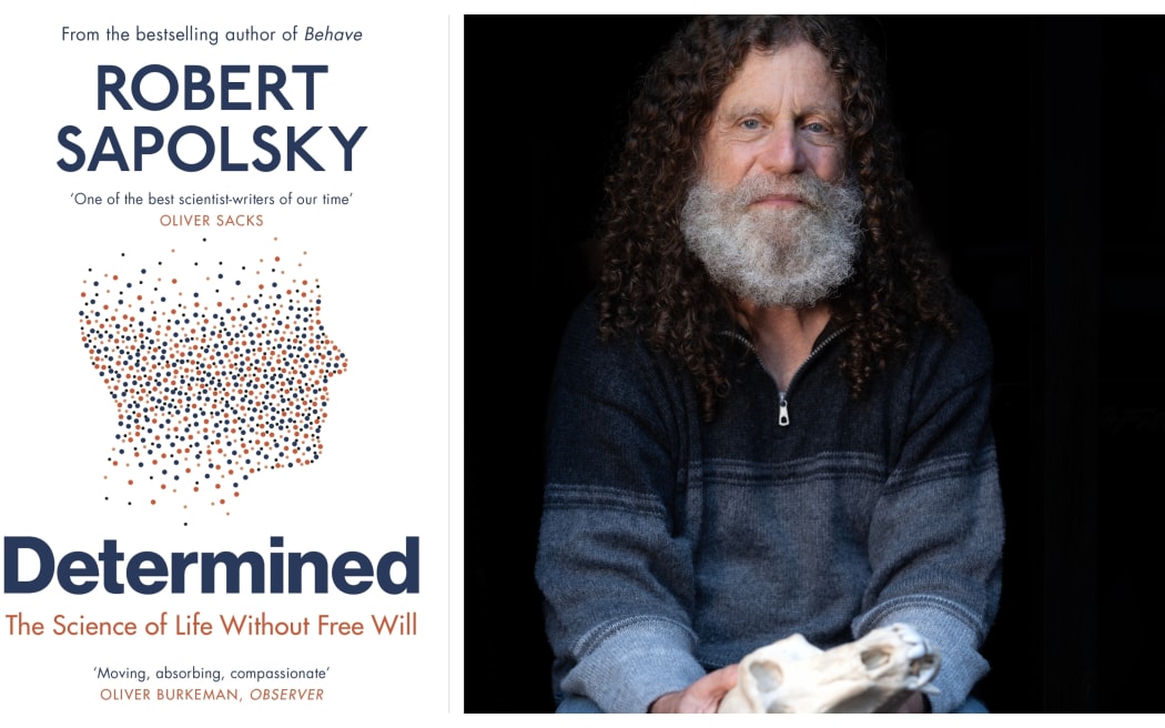 Professor Robert Sapolsky