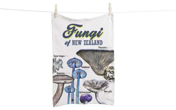 Fungi species graphic