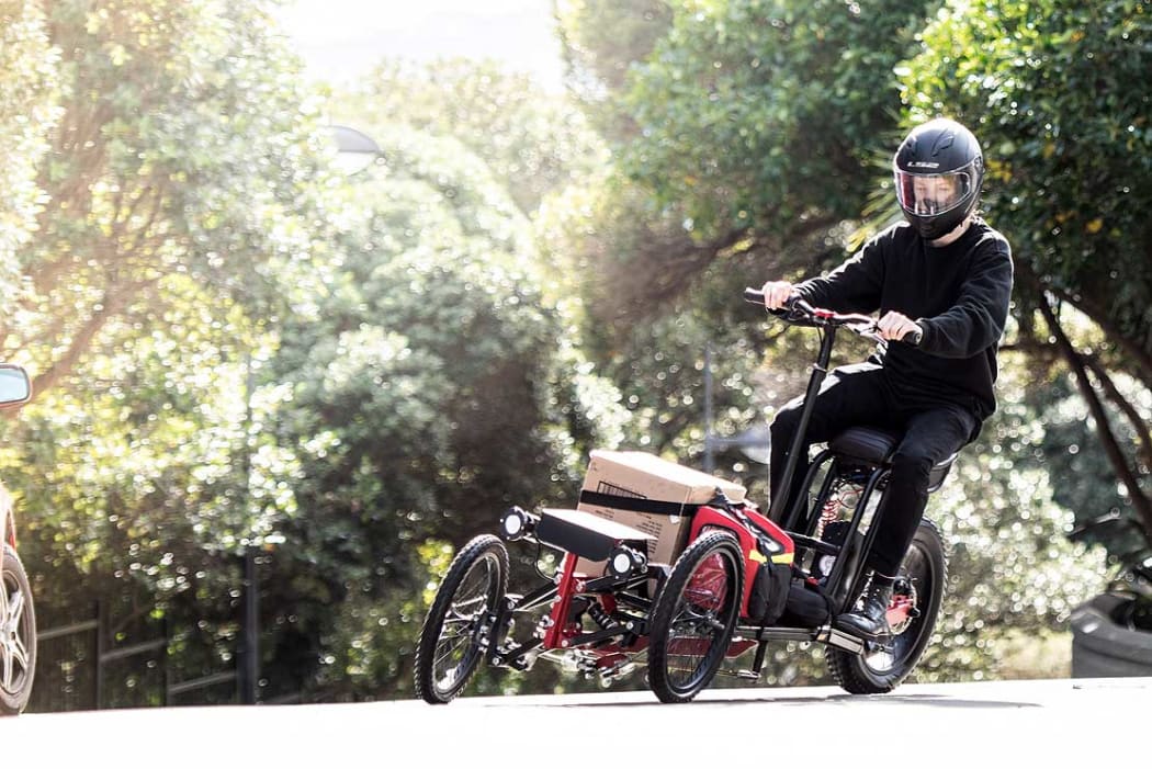 Electric cargo trike