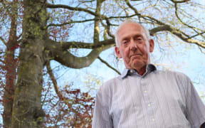 Blenheim resident Tony Hay says he lives in a “kill zone” beneath three 30-metre trees.