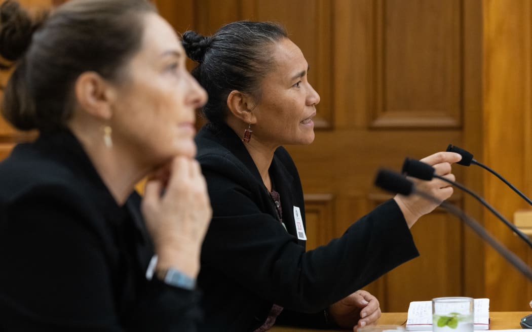 Human Rights Commission EEO Commissioner Saunoamaali'i Dr Karanina Sumeo gives evidence to Parliament's Justice Select Committee.