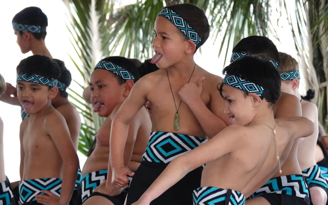 Ngā Kākano, Year 2, Kerikeri Primary School.