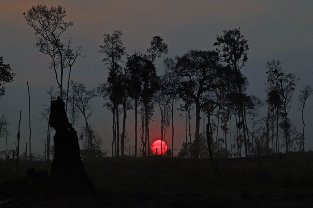 The sun sets on a burnt area of Amazon rainforest reserve, south of Novo Progresso in Para state, Brazil.