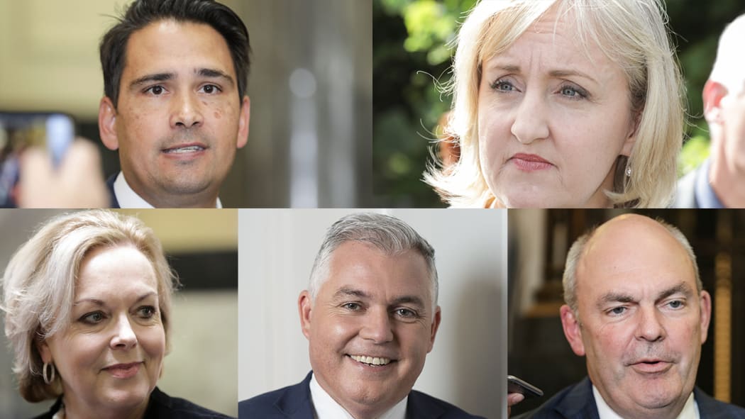 Simon Bridges, Amy Adams, Judith Collins, Mark Mitchell and Steven Joyce are all vying to lead the National Party.