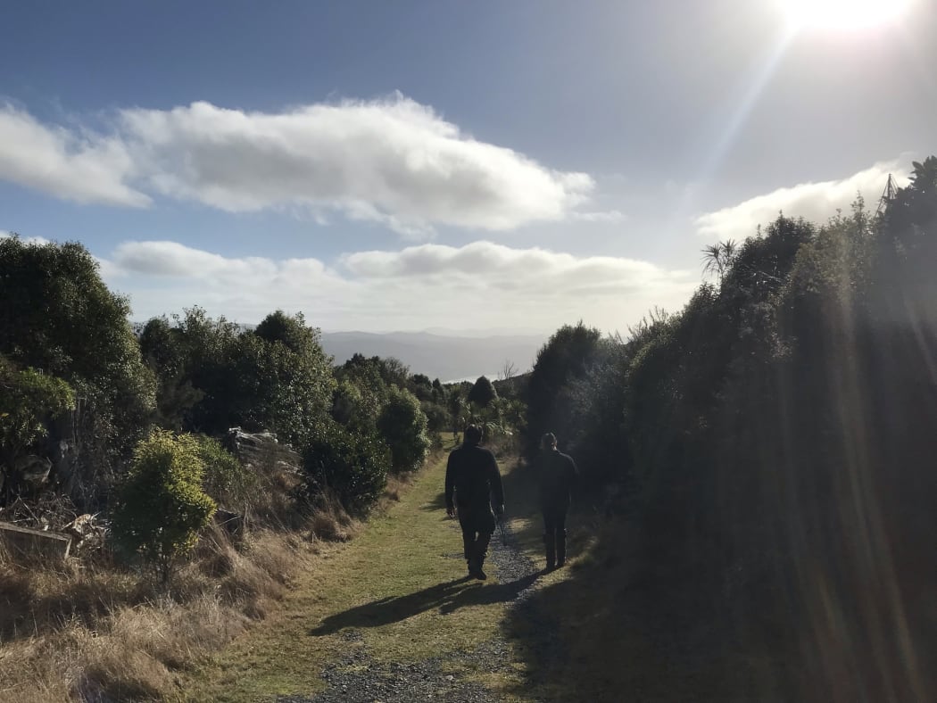 Orokonui Ecosanctuary