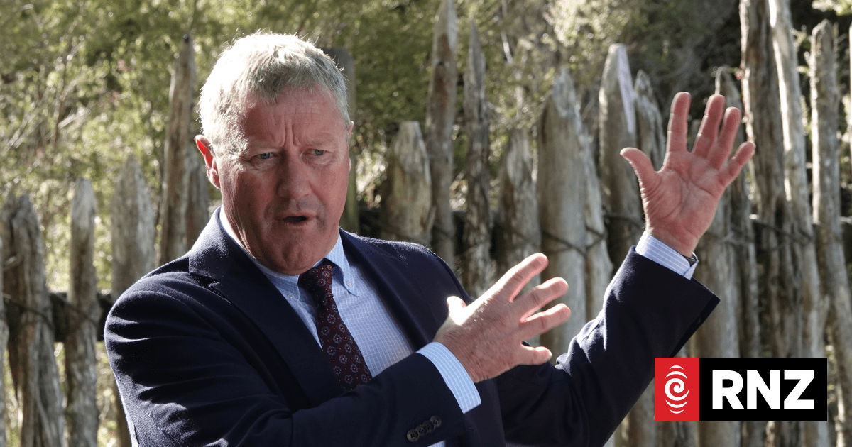 Northland MP hopes local investors will purchase Kaitāia timber mills