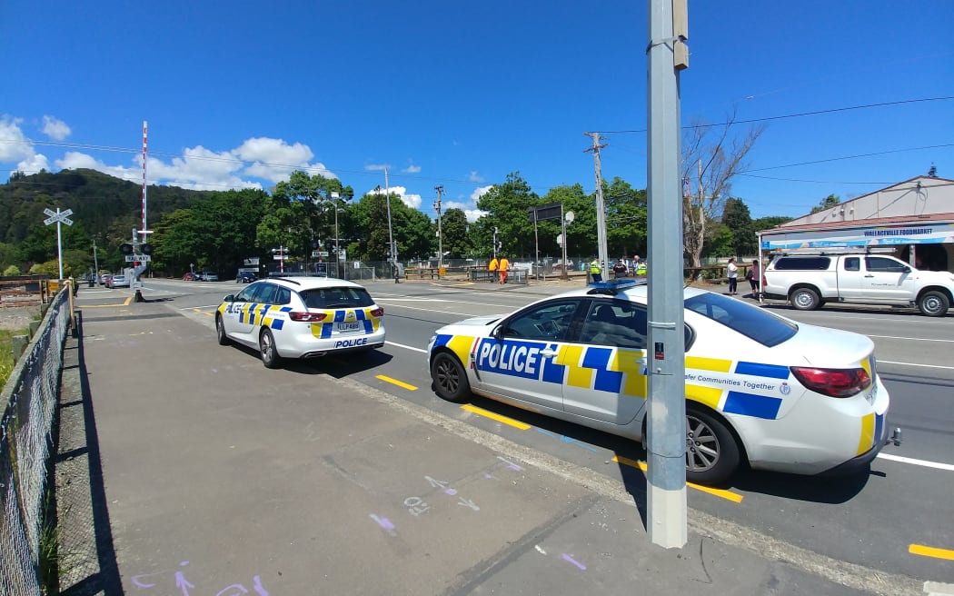 The crossing where a pedestrian was fatally struck by a train in Wallaceville.