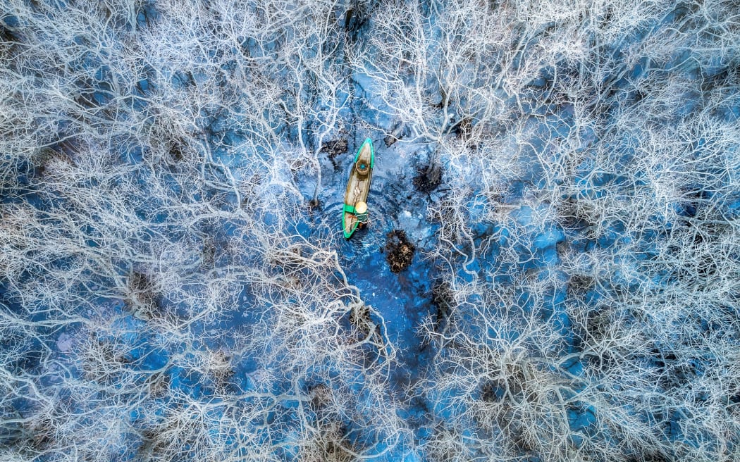 An image from the Mangrove Photography Awards, run by the Mangrove Action Project.