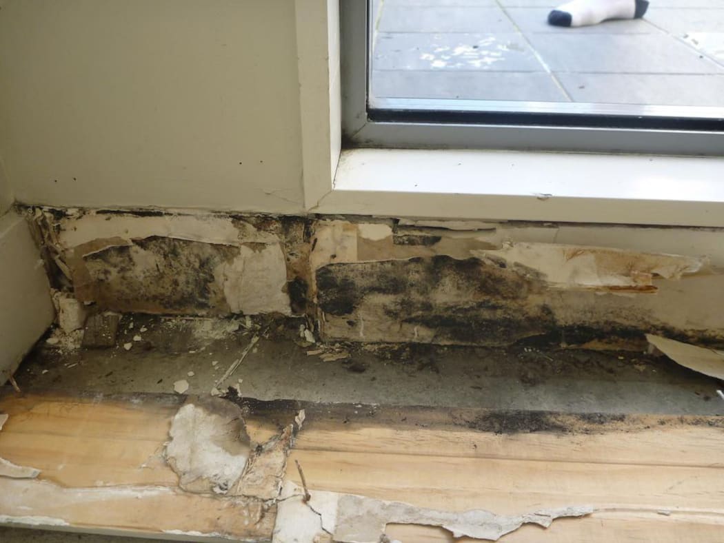 The owners of St Lukes Garden Apartments in Mount Albert have filed a $60 million leaky homes claim