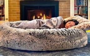 The Plufl, a human-sized dog bed, has been designed by two students at the University of British Columbia.