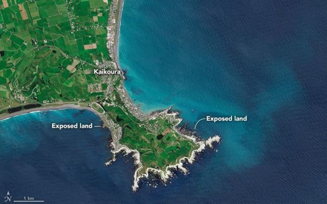 This image taken on 25 November shows the newly exposed land near Kaikōura.