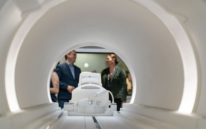 New Zealand Faces Brain Drain as Neurologists Leave Due to Funding Shortages