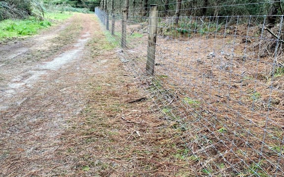 The wallaby fence is being constructed in the Whakarewarewa forest in Rotorua district.