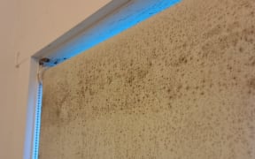 Mould in the bathroom of a Mt. Eden home.