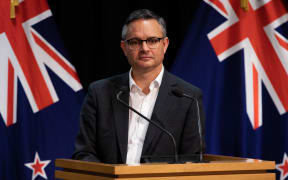 James Shaw and Peeni Henare speak to media about the ETS review