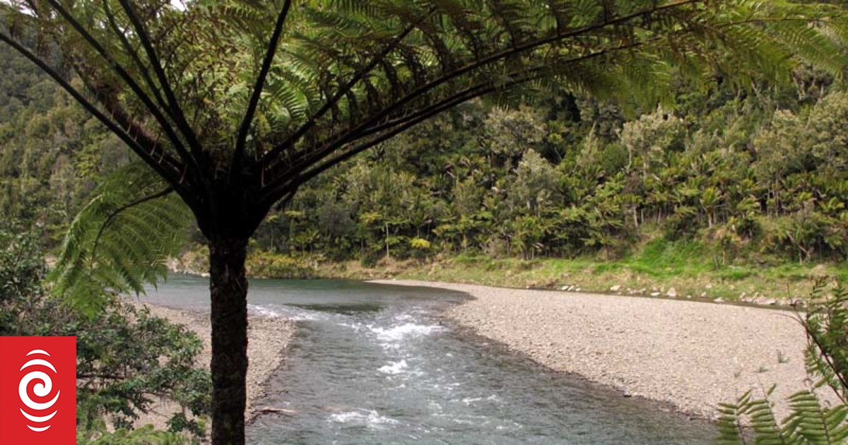 Search underway for man swept downstream in Ōpōtiki