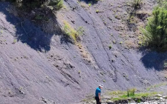 The site on Coverham Station, near Kaikoura, where these fossils were discovered more than a decade ago.