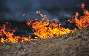 A grass fire between Queenstown and Arrowtown has been tackled.
