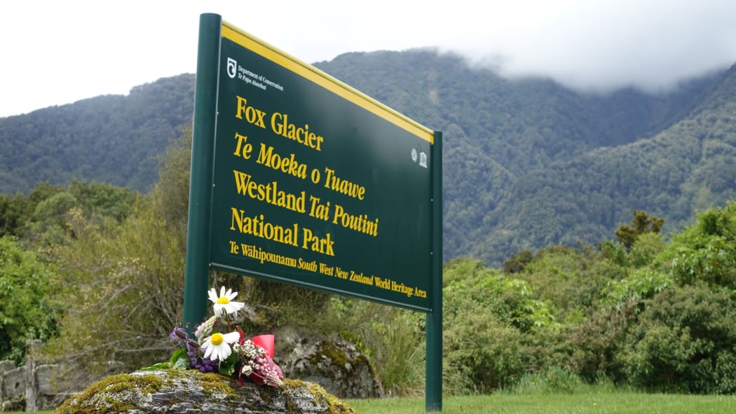 A single bunch of flowers by the entrance to the Fox Glacier on 26 November 2015.