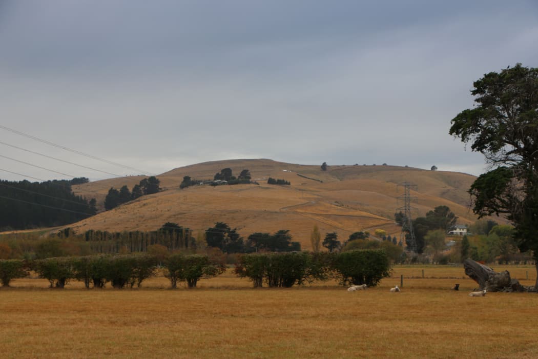 Banks Peninsula farmers are hoping for rain