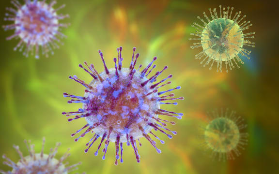 Group of viruses, computer illustration. (Photo by KATERYNA KON/SCIENCE PHOTO LIBRA / KKO / Science Photo Library via AFP)

coronavirus generic