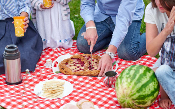 Happy family at a picnic. Picnic in the meadow or park. Young friends and their children in nature.