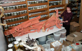 Di Tracey and a coral specimen