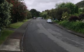 Possible homicide in Kakariki Grove in Waikanae