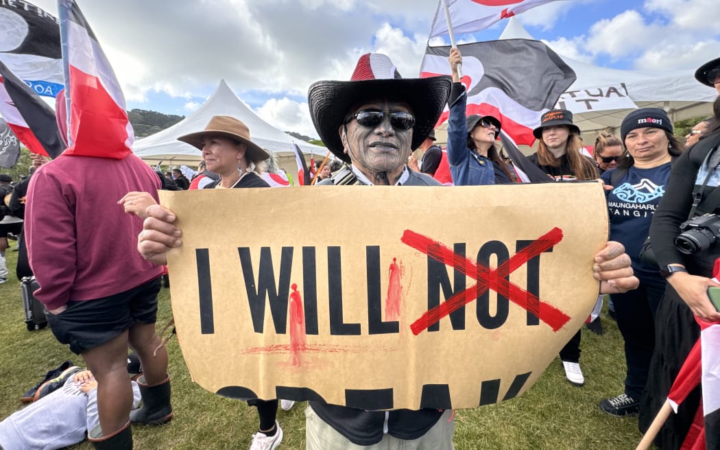 Hikoi in welly