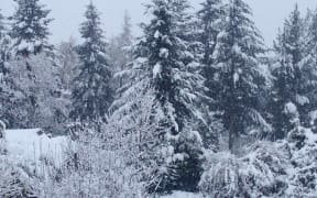 Hanmer Springs snow scene 20 June 2013.